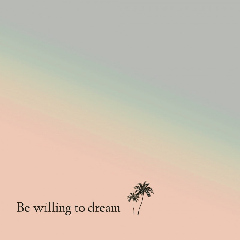 Be willing to dream