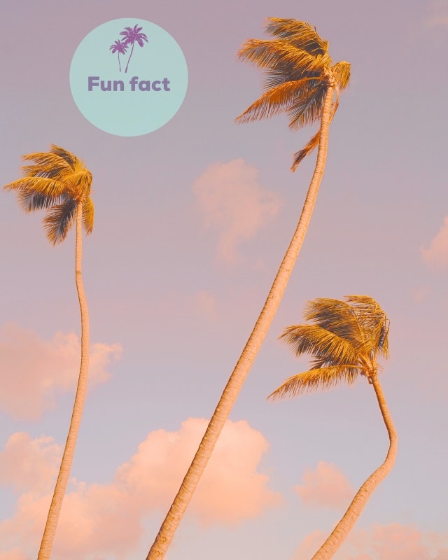 Fun fact!