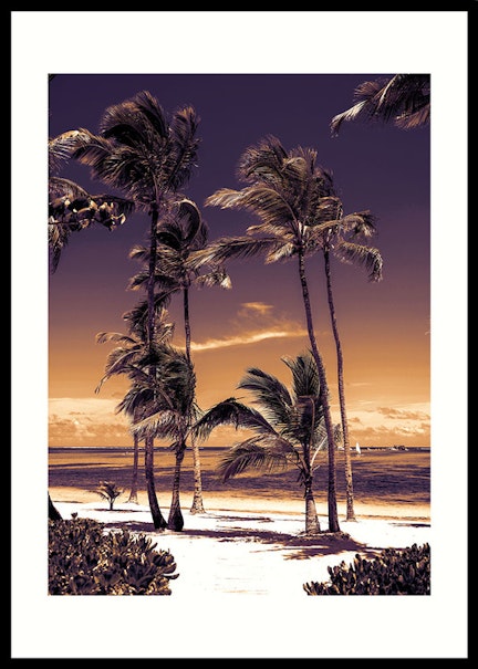 Artwork Dreams White Sunset