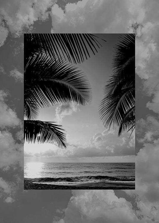 Artwork Miracle Tranquility Black White
