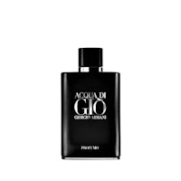 Giorgio Armani Acqua Di Giò Homme Profumo EdP