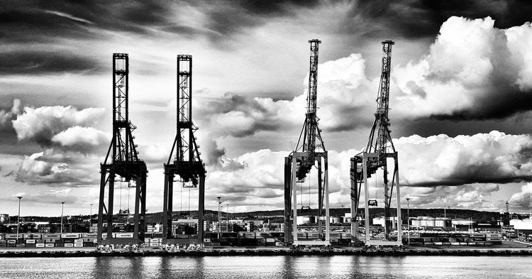 Cranes in Gothenburg II