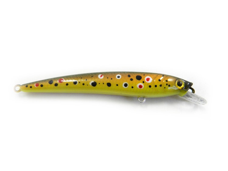 J9-Brown trout