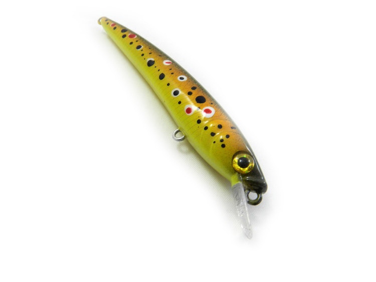 J9-Brown trout