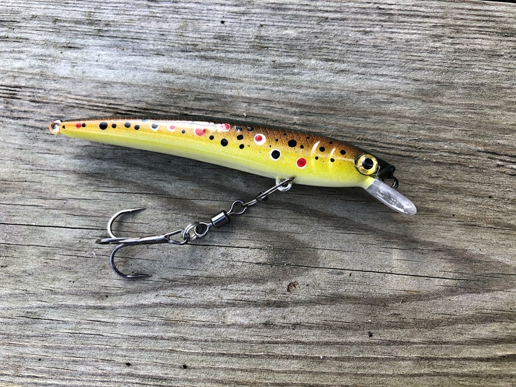 J9-Brown trout