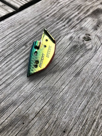 Anchovy Special CUSTOM - 5