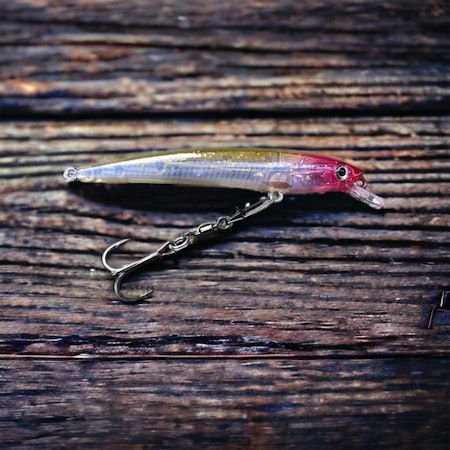 J9-Neon Tetra