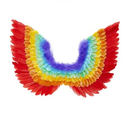 Regnbågsfärgade vingar Pride