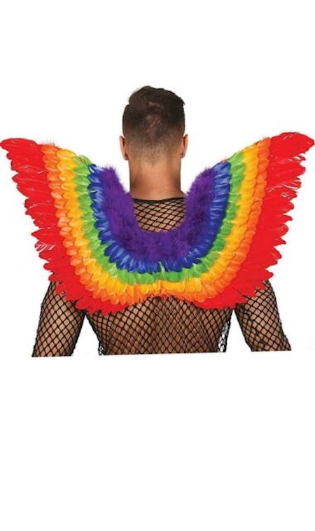 Regnbågsfärgade vingar Pride