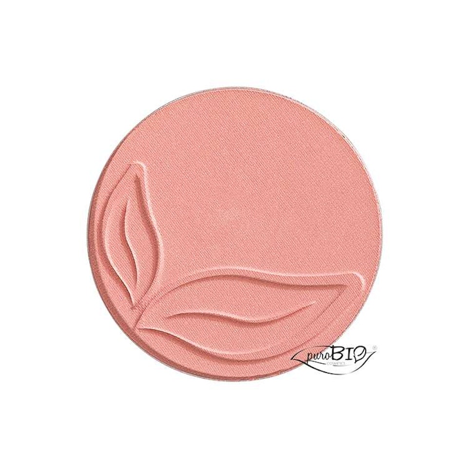 Blush 01 Pink Shimmer