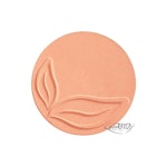 Blush 03 Peach Shimmer