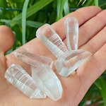 Lemurian Spets Mini