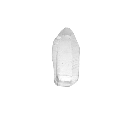 Lemurian Spets Mini