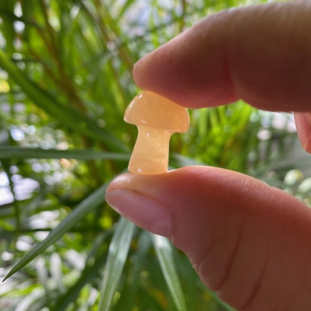 Jade Citron Svamp 2cm