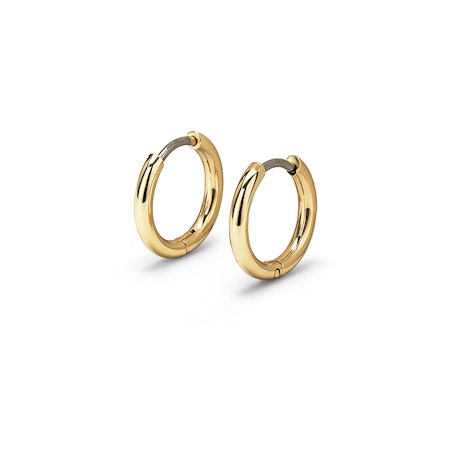 Nina örhängen Silver/Guld