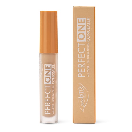 Concealer PERFECT ONE 01