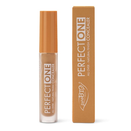 Concealer PERFECT ONE 05