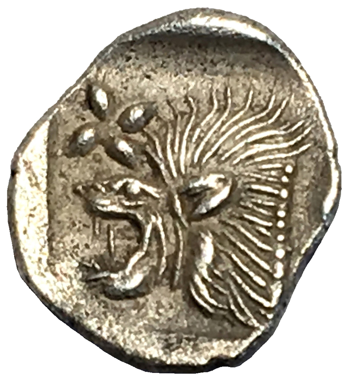 ANTIKA GREKLAND. Mysien, Kyzikos 525-475 f.kr, Hemiobol