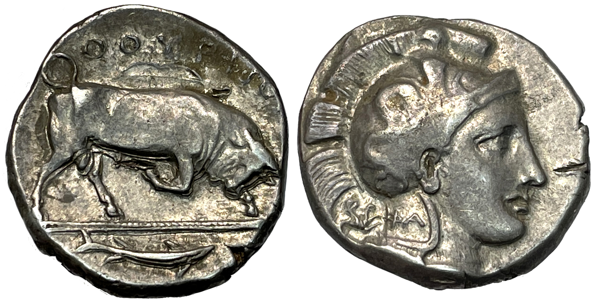 Lukanien, Thuiroi, Didrachm 350-300 f.Kr - Vackert exemplar med glans