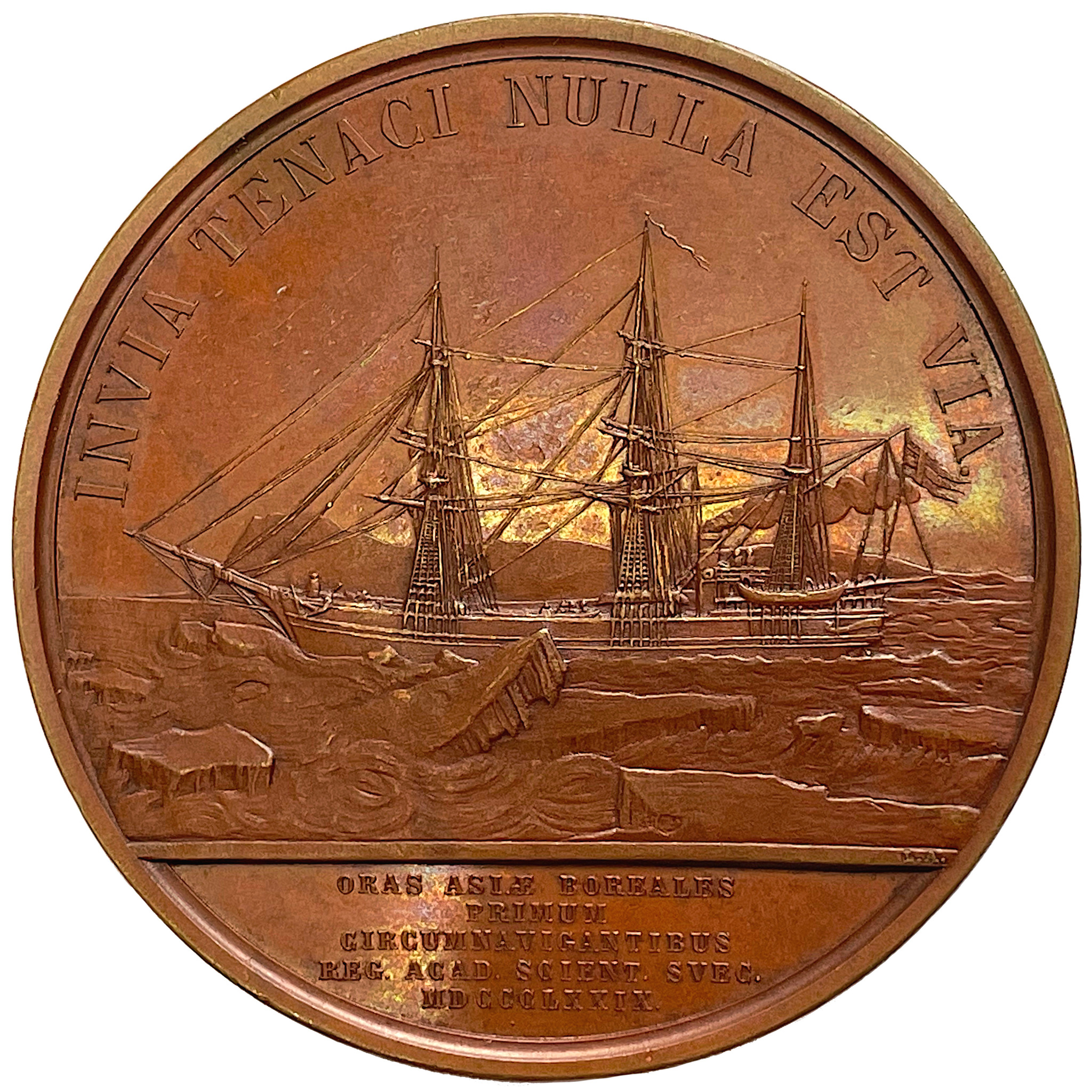 Nordostpassagen genomseglades 1878-1880 av Nordenskiöld med skeppet Vega av Lea Ahlborn
