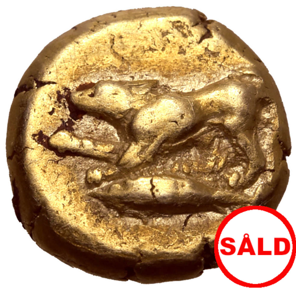 Mysien, Kyzikos 1/12 Stater (guld). Cirka 500-450 f.Kr - MYCKET SÄLLSYNT