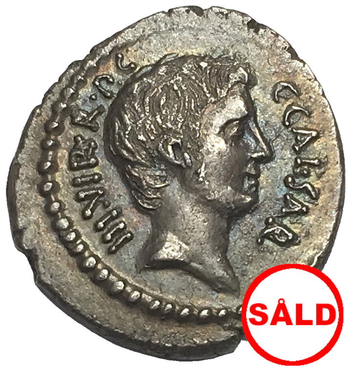 Romerska republiken, Oktavianus, Silverdenar 42 f.Kr - LÄCKERT PORTRÄTT - RR