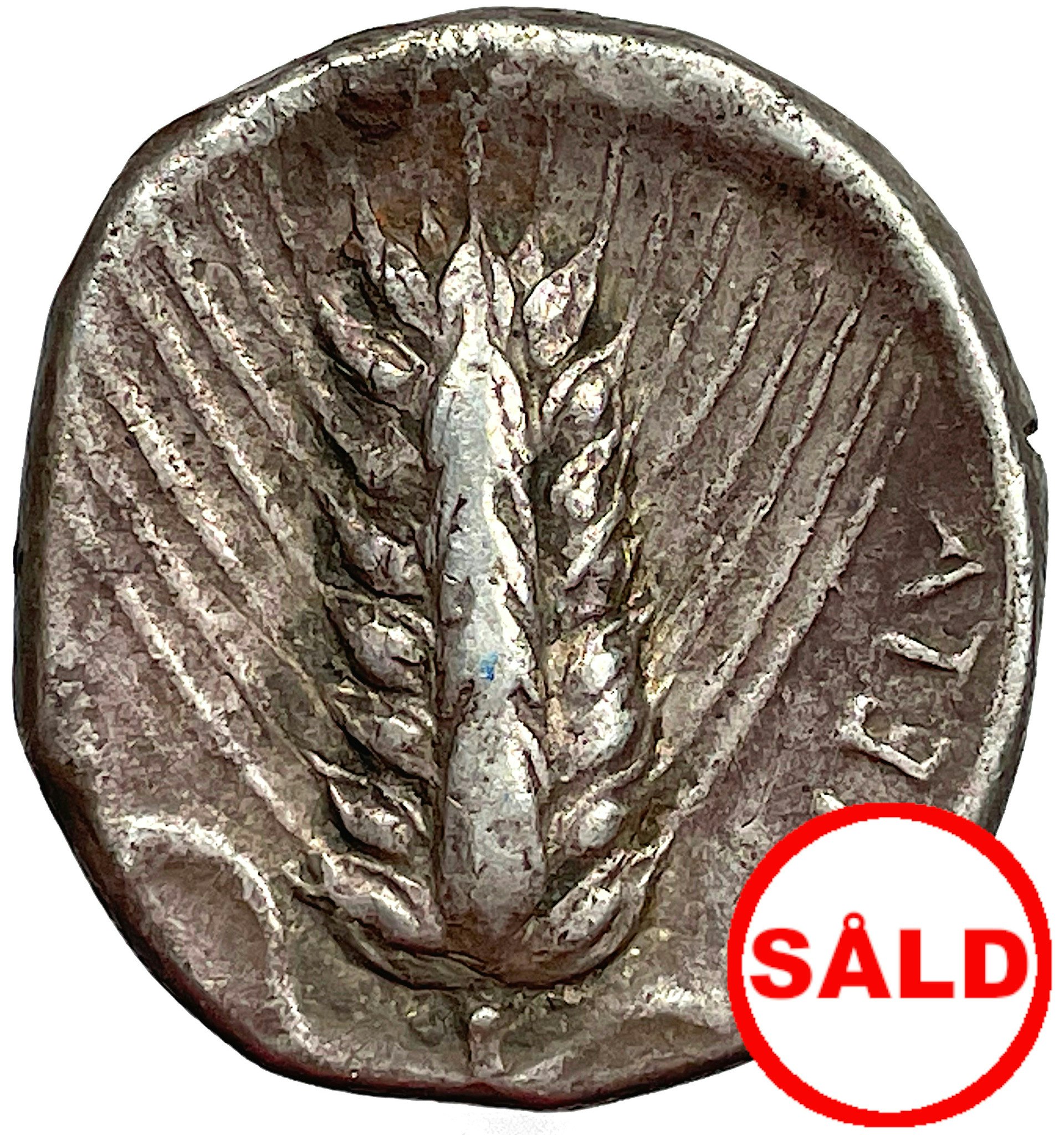 Lukanien, Metapontium, stater cirka 400-350 f.Kr.