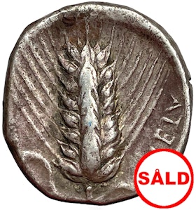 Lukanien, Metapontium, stater cirka 400-350 f.Kr.
