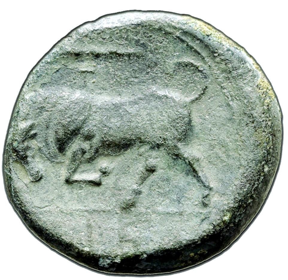 Sicilien, Syrakusa, Brons 19mm, Hieron II cirka 263-215 f.Kr
