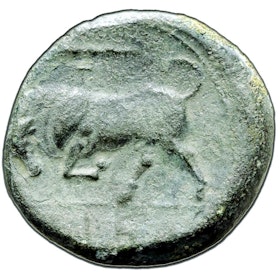 Sicilien, Syrakusa, Brons 19mm, Hieron II cirka 263-215 f.Kr