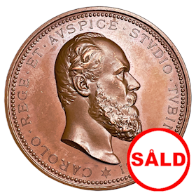 Bronsmedalj från 1877 av Karl Schwenzer, till minne av Universitetet i Tübingens 400-årsjubileum