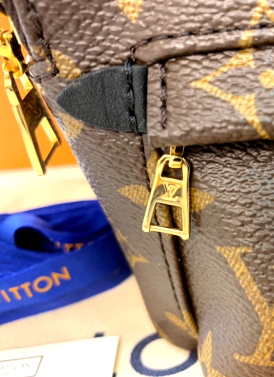 Louis Vuitton Mini Palmspring Monogram Canvas Bagpack