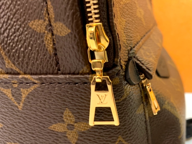 Louis Vuitton Mini Palmspring Monogram Canvas Bagpack