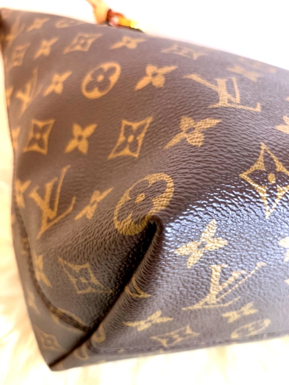 Louis Vuitton IENA MM Monogram Canvas Bag