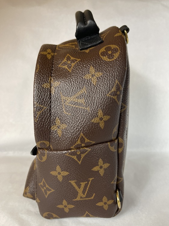 LV Monogram Canvas Palm Springs Mini Backpack Bag