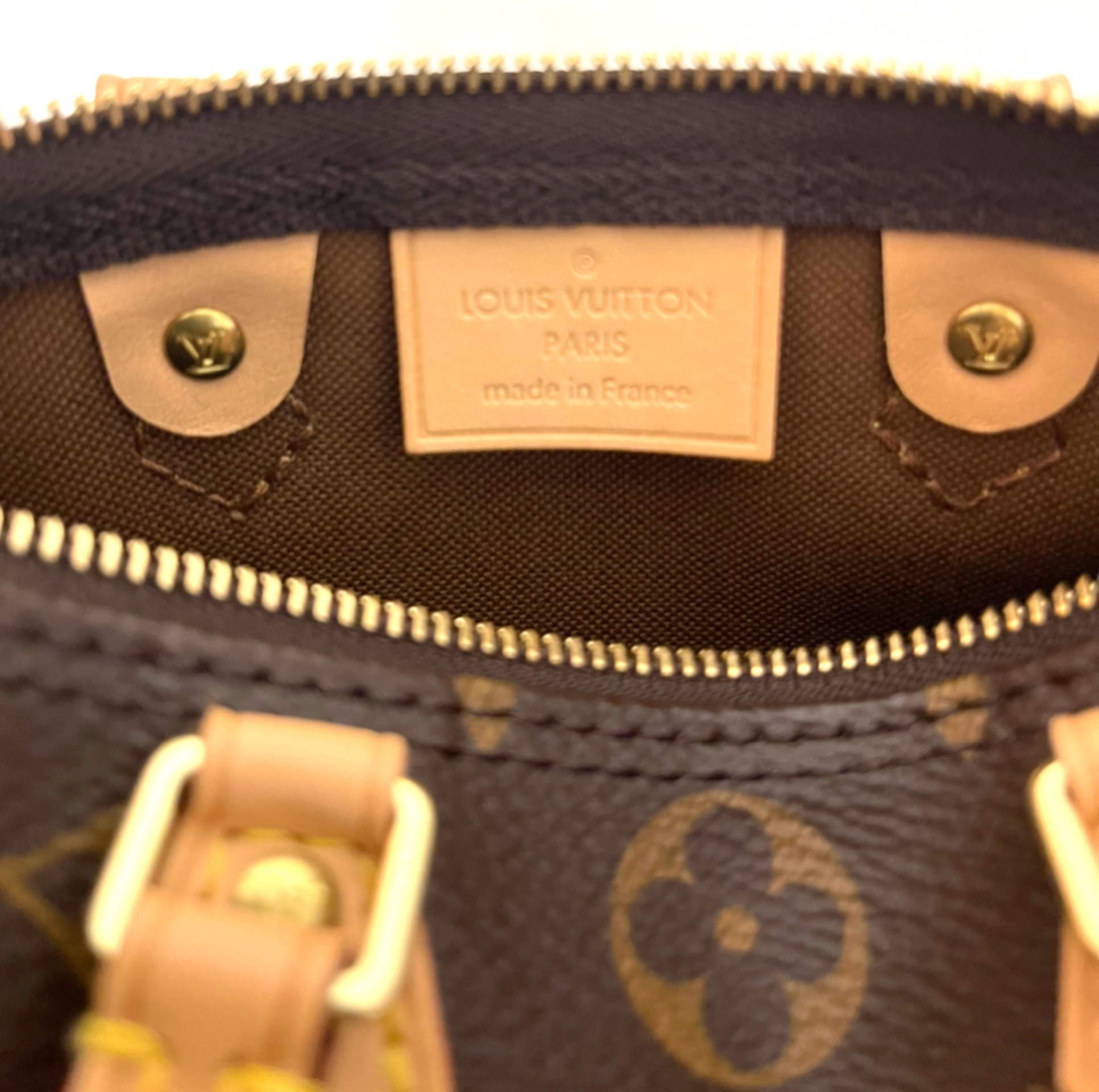 Louis Vuitton Speedy Nano Monogram Bag