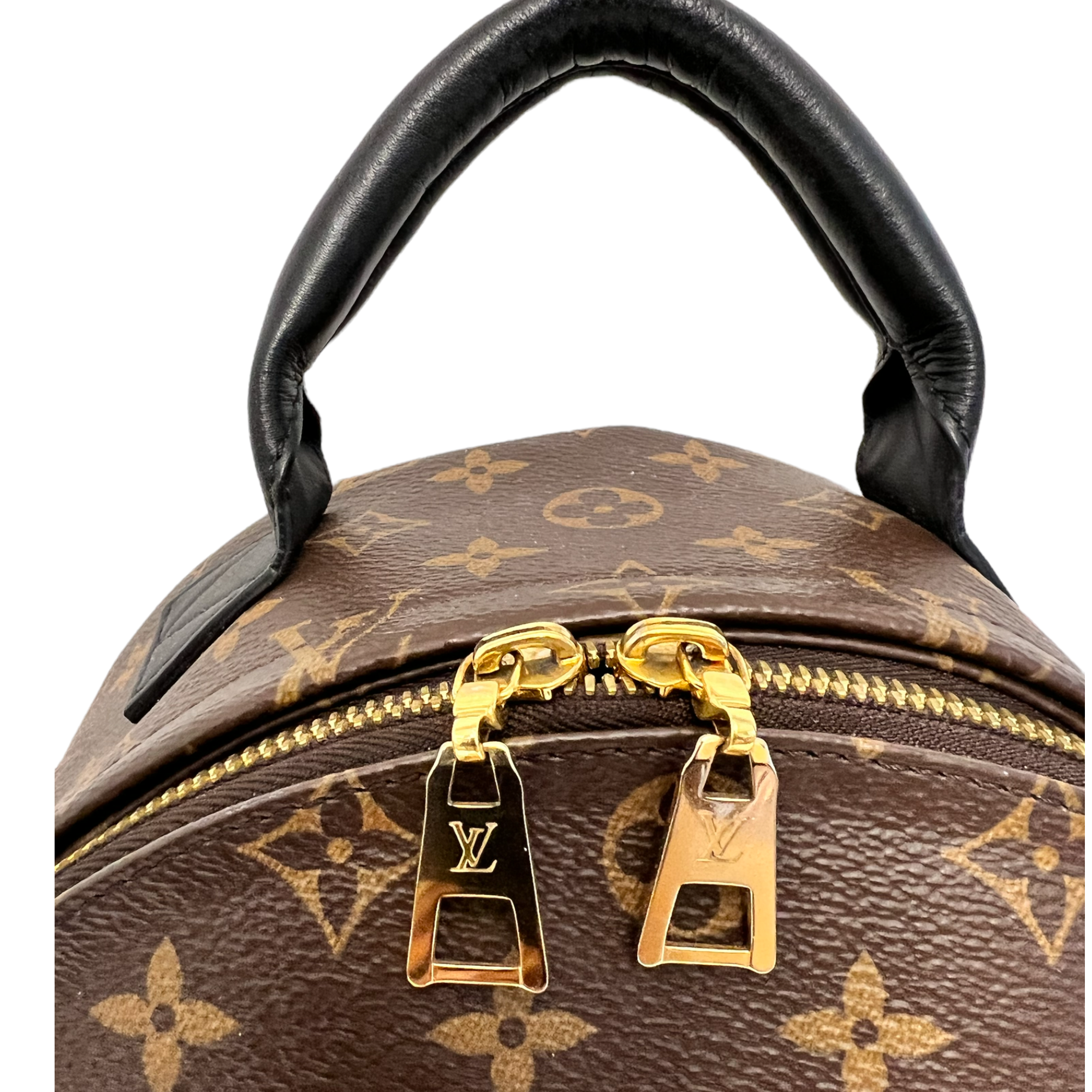 Louise Vuitton Palm Springs  MM Monogram Backpack