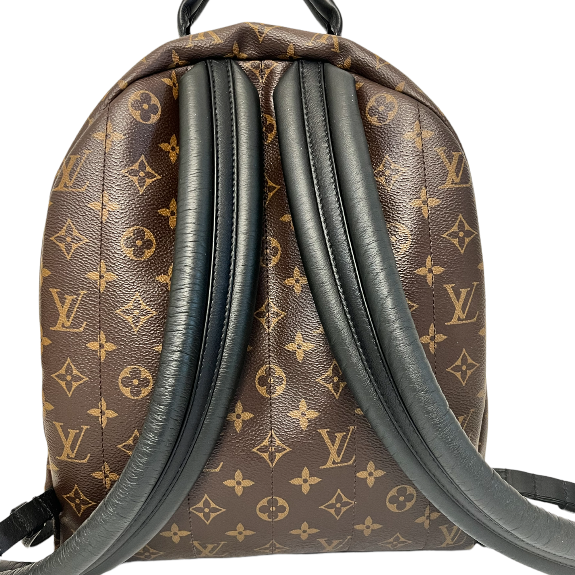 Louise Vuitton Palm Springs  MM Monogram Backpack