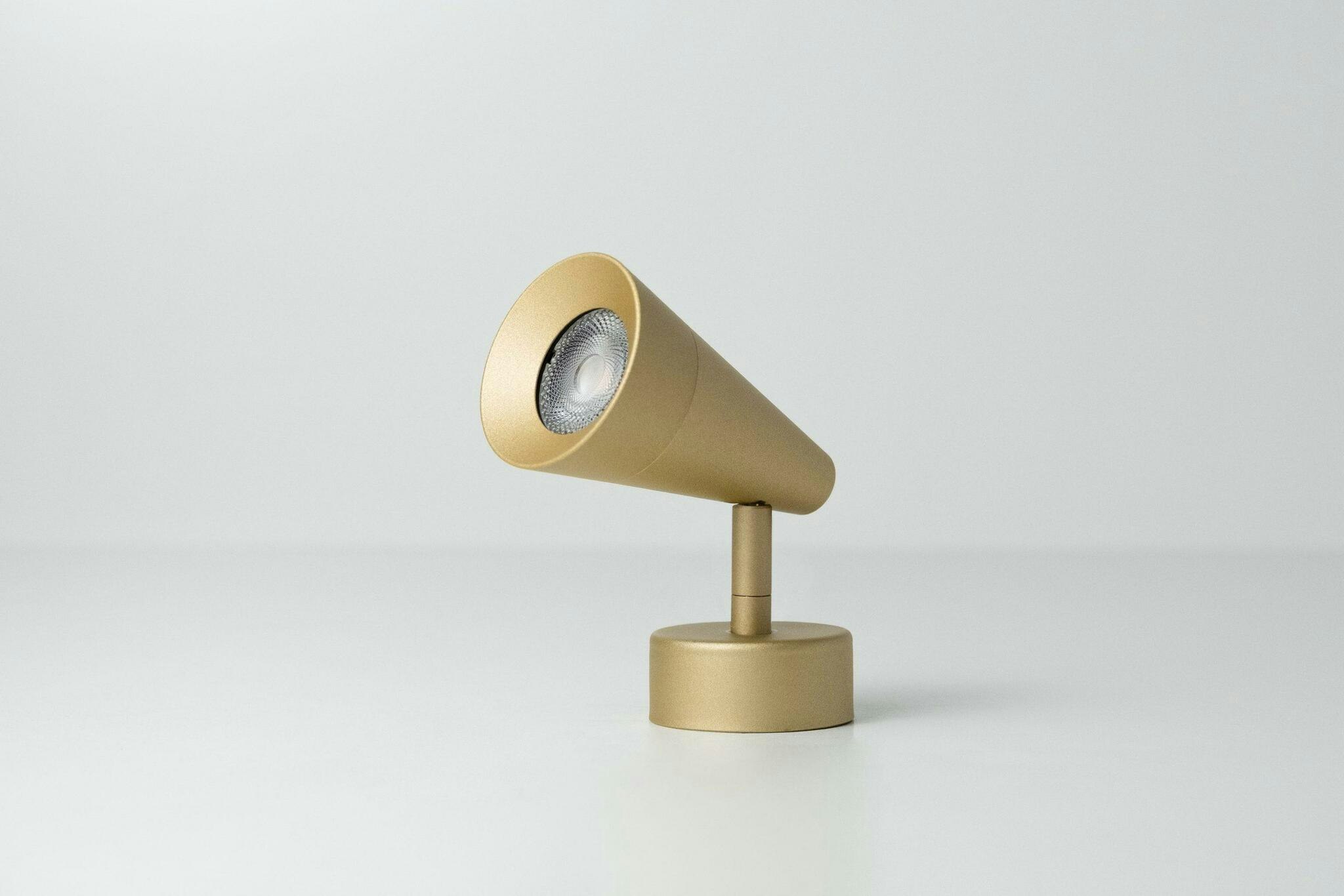 Calla Spotlight
