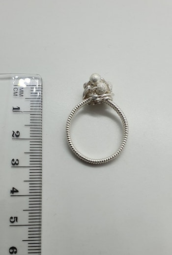 Ring Frost