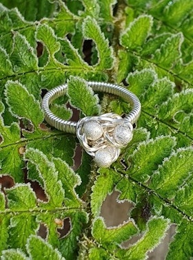Ring Frost