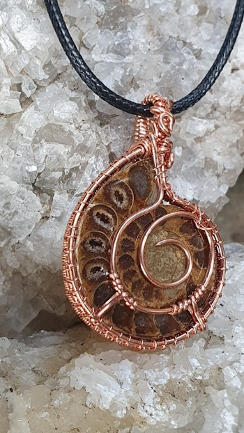 (Sålt) Halsband Ammonite Fossil