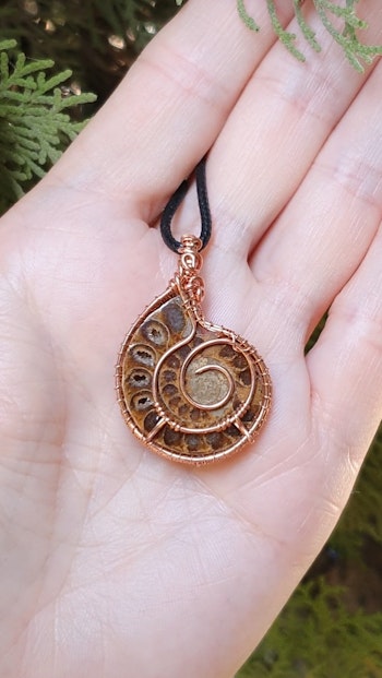 (Sålt) Halsband Ammonite Fossil