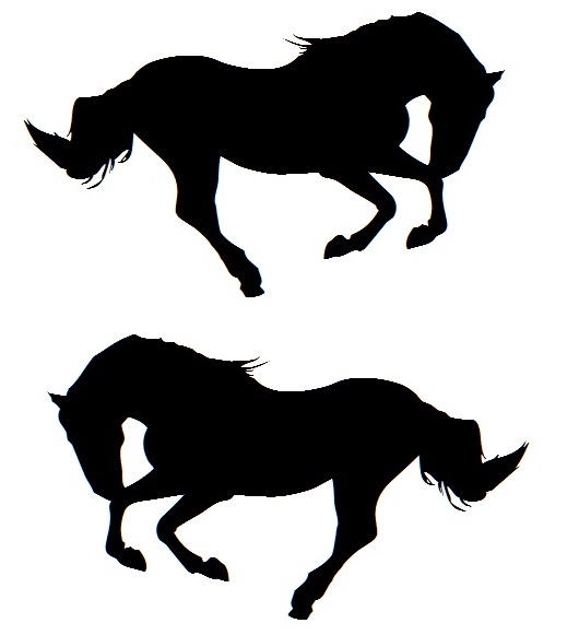 Dekor till hästtransport - Häst i galopp  | Dubbel