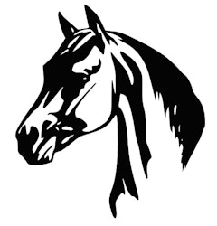 Dekor till hästtransport - Hästhuvud