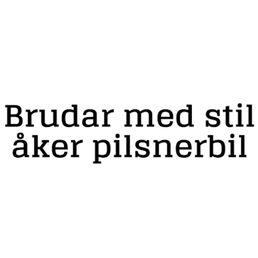 Dekal - Brudar med stil åker pilsnerbil