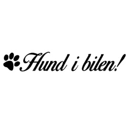 Dekal - Hund i bilen!