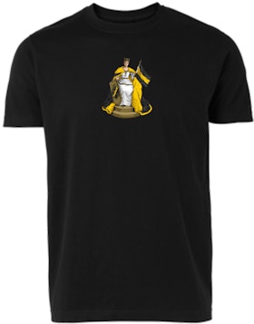 AIK-Tifo T-shirt - Mälardrottningen