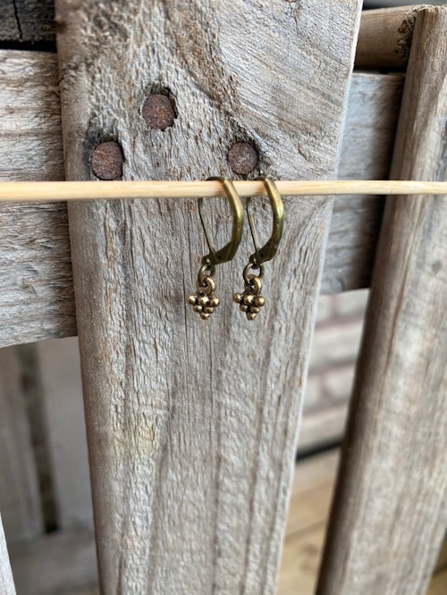 Örhängen – Minikottar, brons