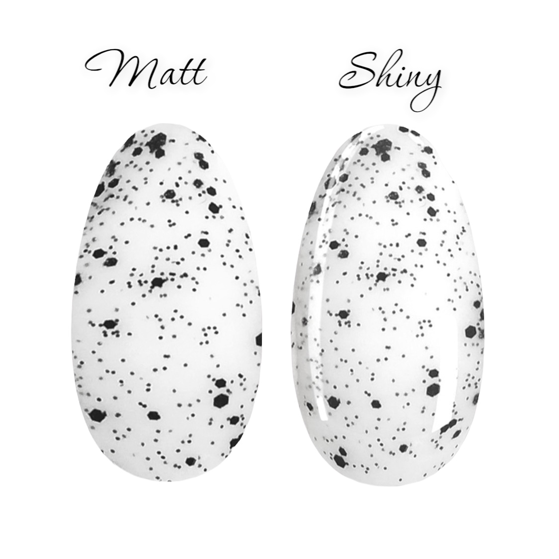 Egg Shell "Shiny+Matt" Svart